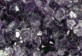 Purple Amethyst Cluster - Uruguay #66802-2